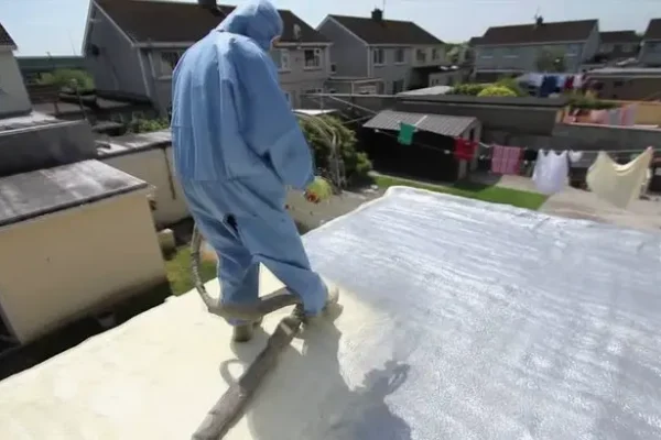 Roof and Attic Inspection